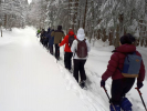 Schneeschuh-Tour (Roßbühl)